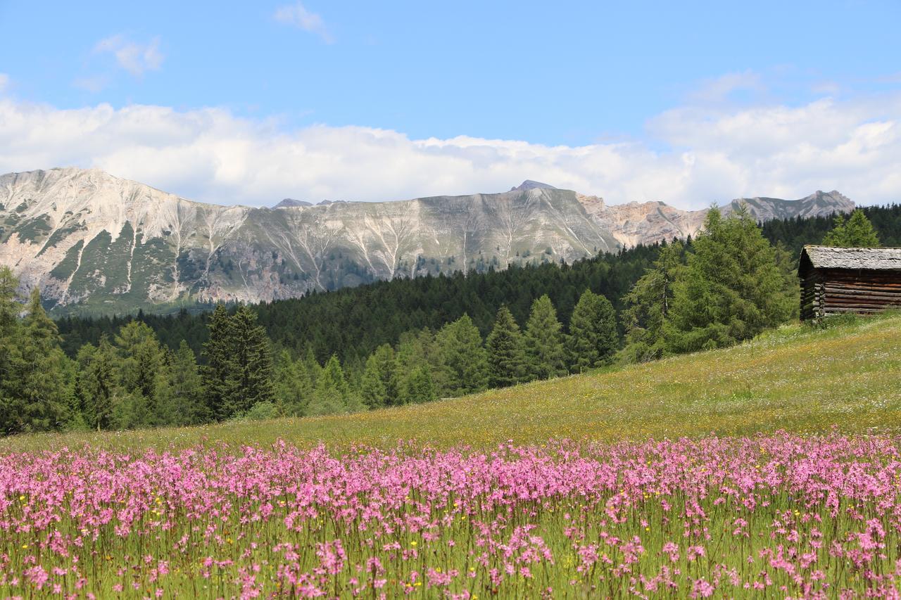 Hotel Alpenrose Dolomites La Valle Dış mekan fotoğraf