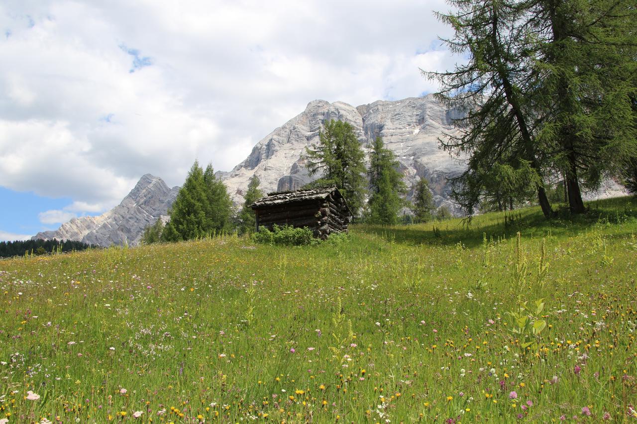Hotel Alpenrose Dolomites La Valle Dış mekan fotoğraf