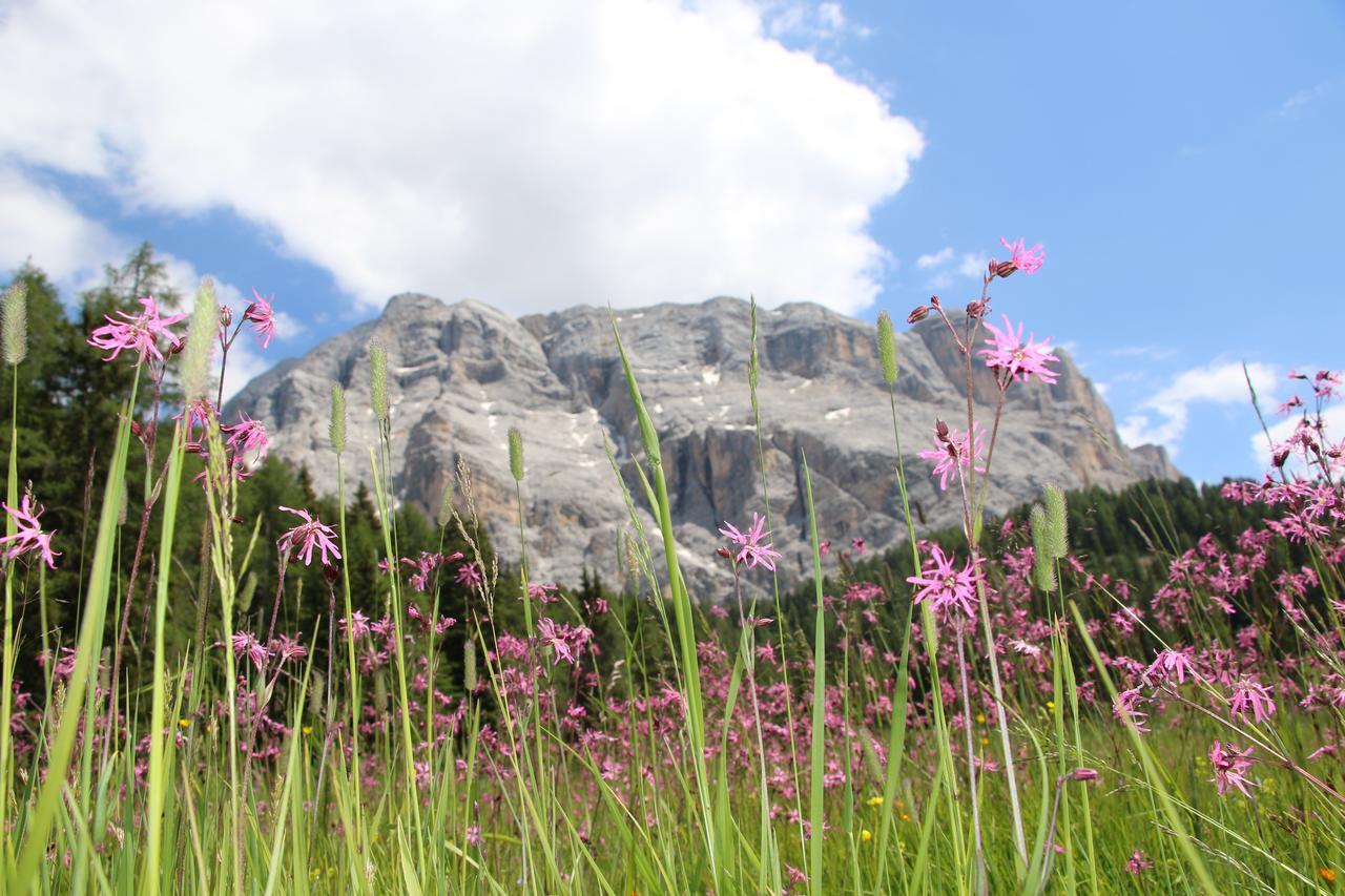 Hotel Alpenrose Dolomites La Valle Dış mekan fotoğraf